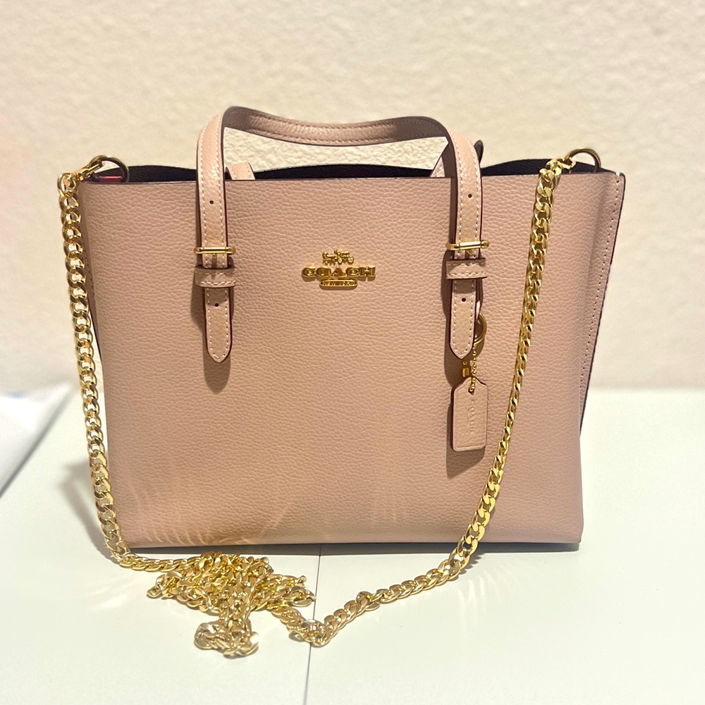 Coach Mollie Mini Crossbody Bag